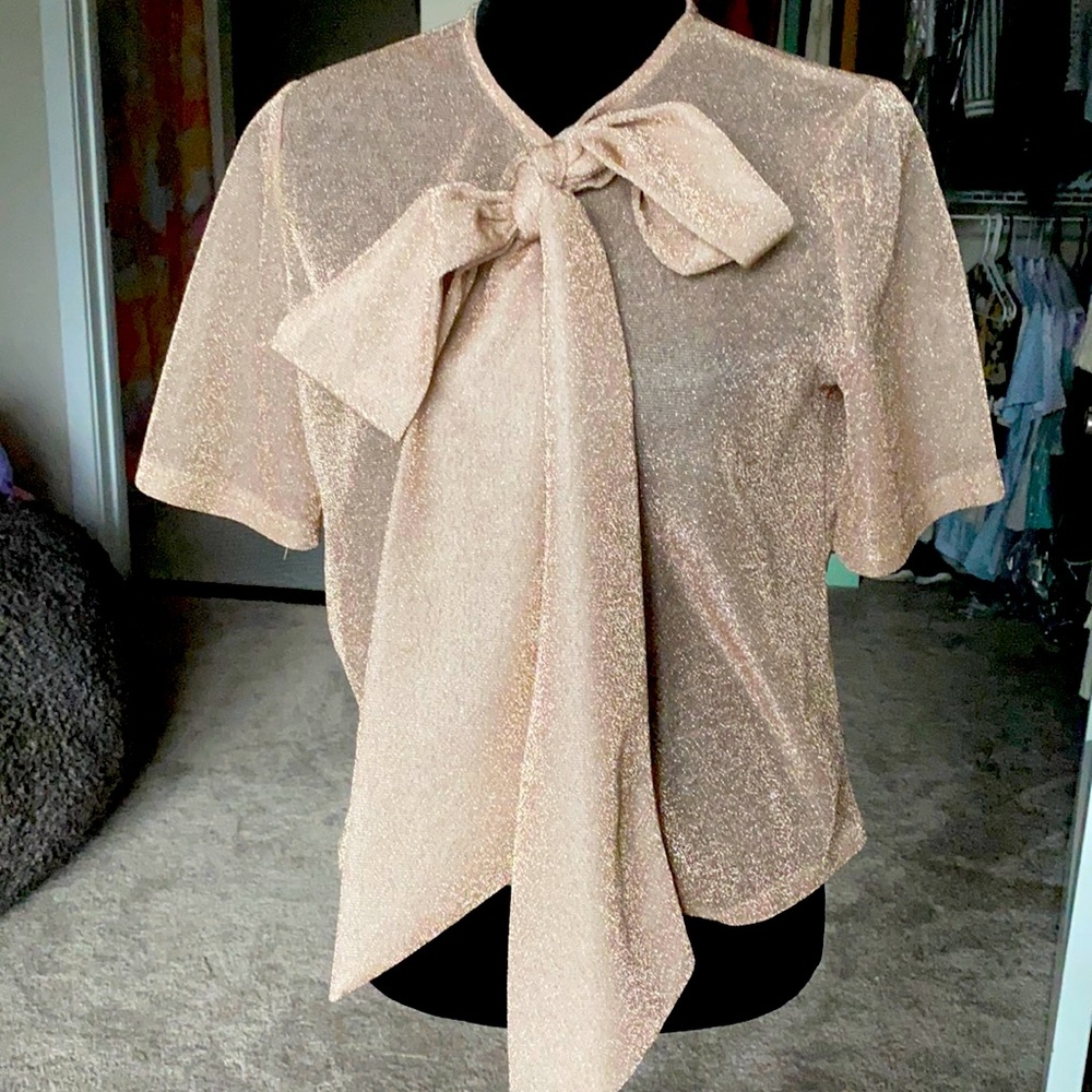 Sheer top